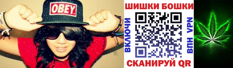 купить наркотик  Светлогорск  Канабис Amnesia 